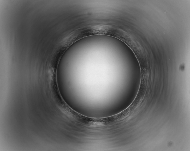 X0000102540649200808151644