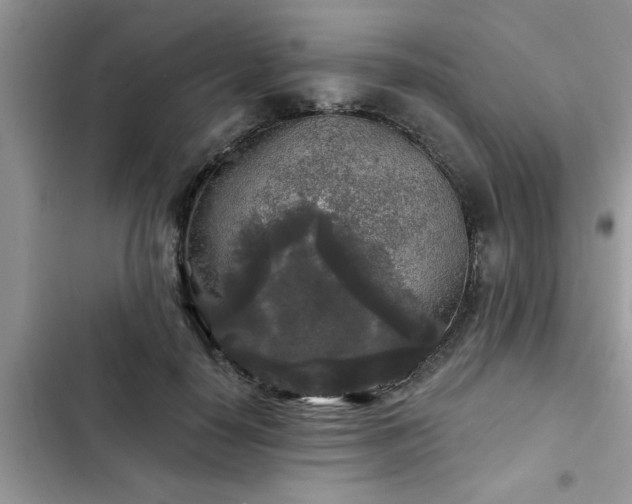 X0000102540650200808151644