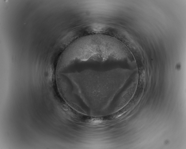 X0000102540651200808151644