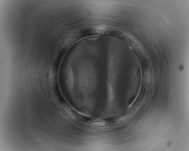 X0000102540653200808151644