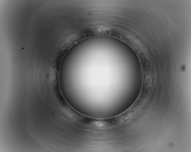 X0000102540654200808151644