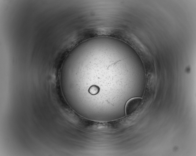 X0000102540655200808151644
