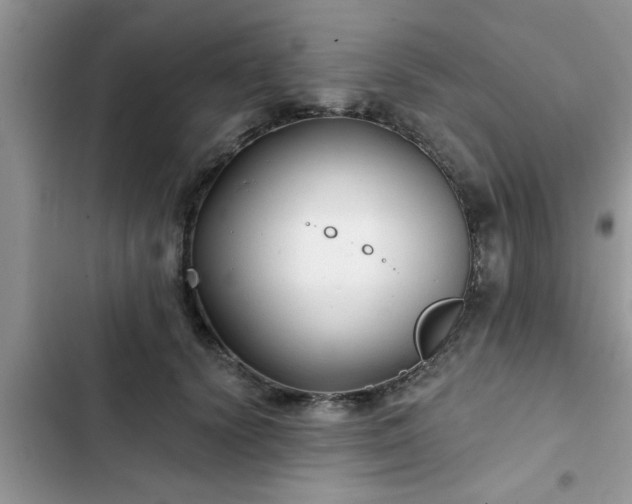 X0000102540656200808151644