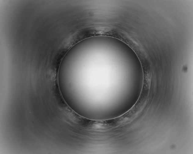 X0000102540657200808151644