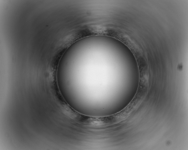 X0000102540658200808151644