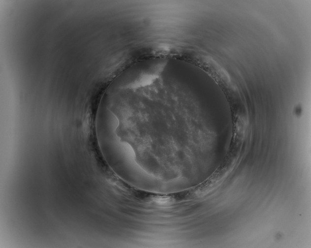 X0000102540659200808151644
