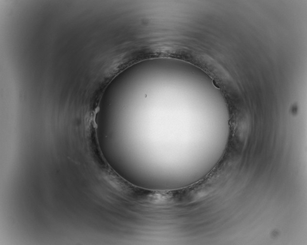 X0000102540660200808151644