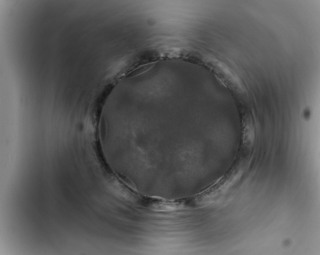 X0000102540661200808151644