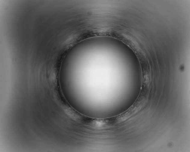 X0000102540662200808151644