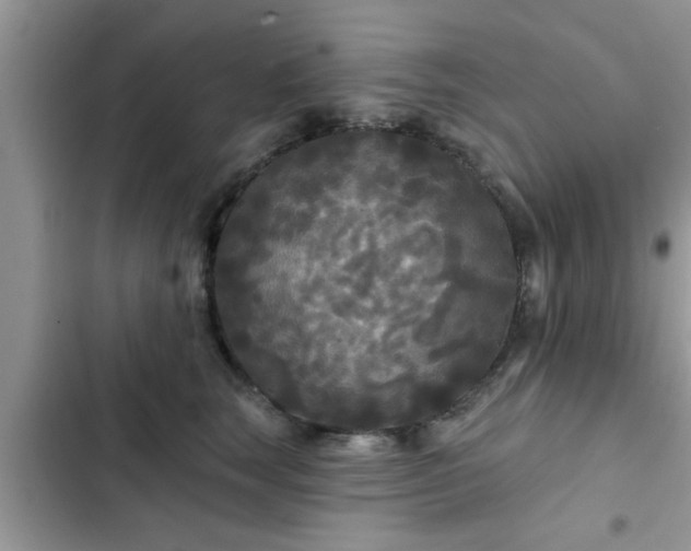 X0000102540663200808151644
