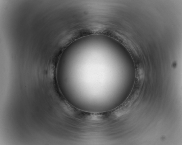 X0000102540664200808151644
