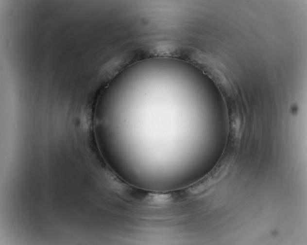X0000102540665200808151644