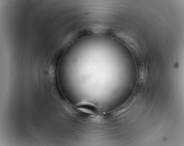X0000102540667200808151644