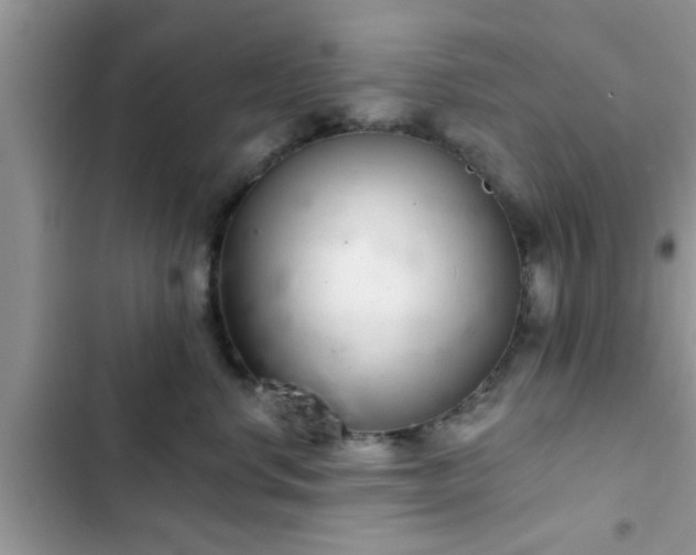 X0000102540668200808151644