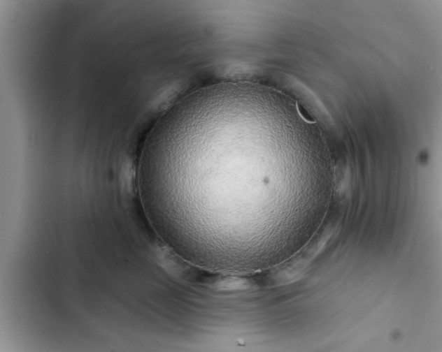 X0000102540669200808151644
