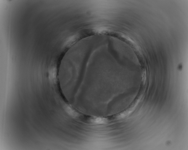 X0000102540670200808151644