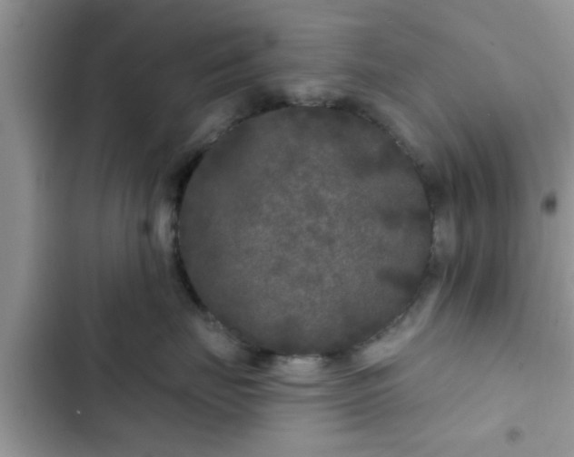 X0000102540671200808151644