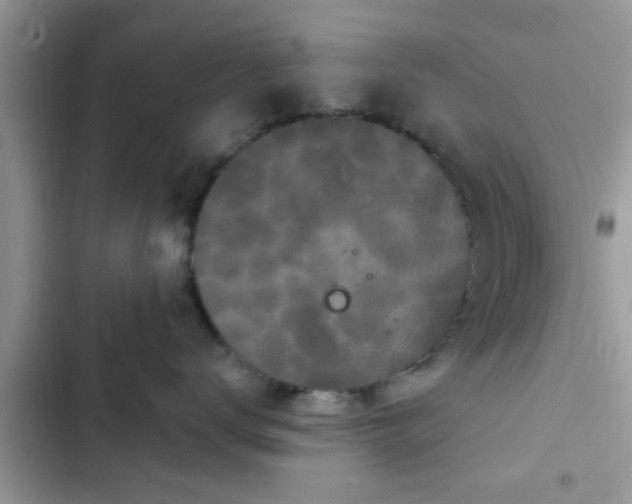 X0000102540672200808151644