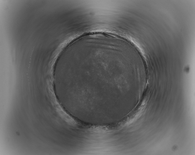 X0000102540673200808151643