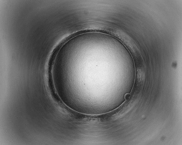 X0000102540676200808151643