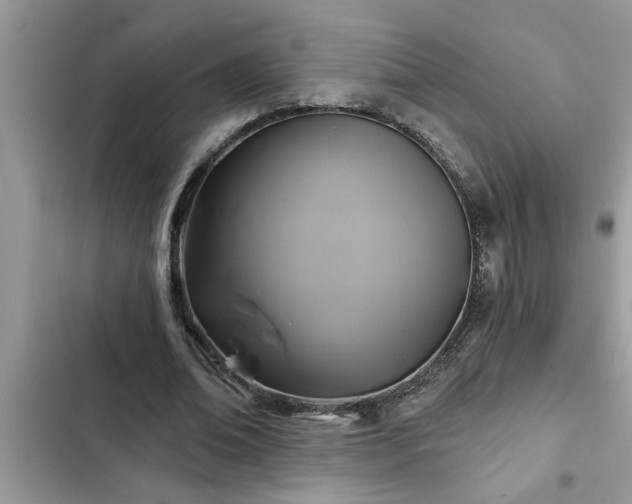 X0000102540678200808151643