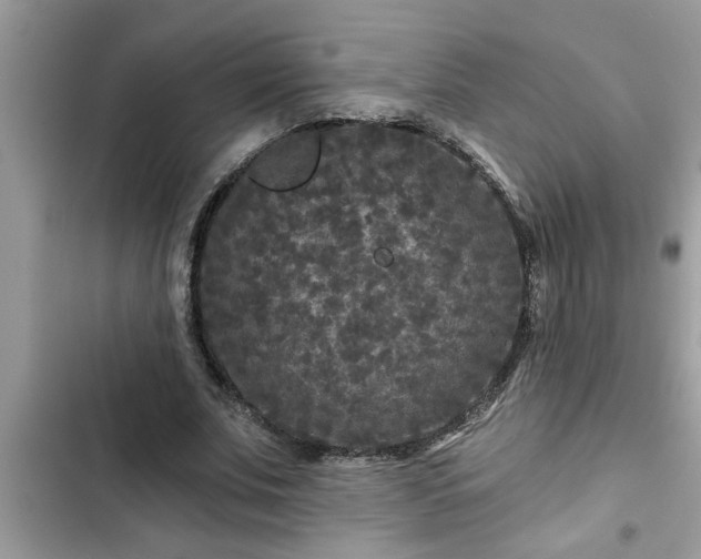 X0000102540679200808151643