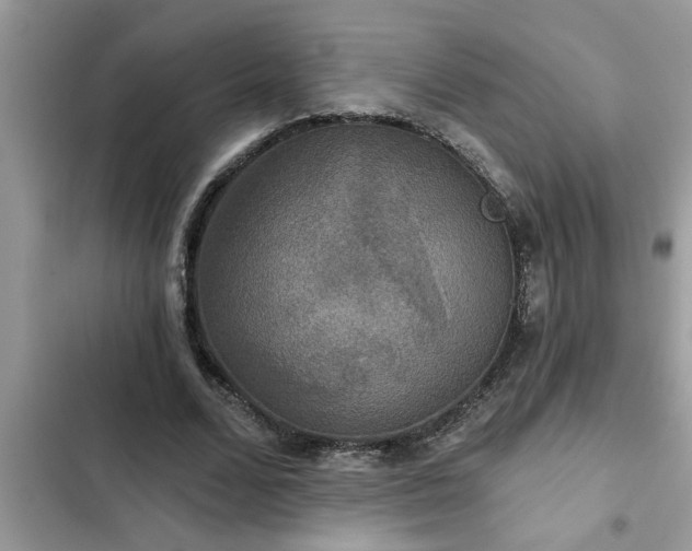 X0000102540680200808151643