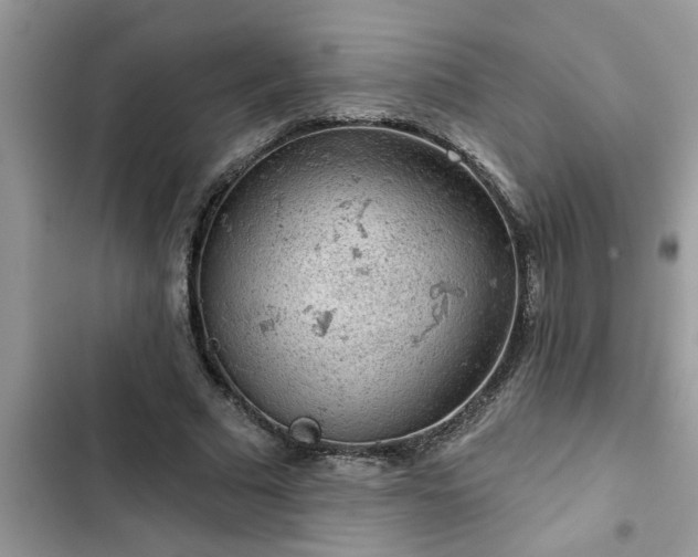 X0000102540681200808151643