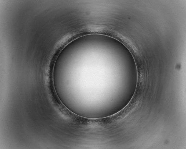 X0000102540682200808151643