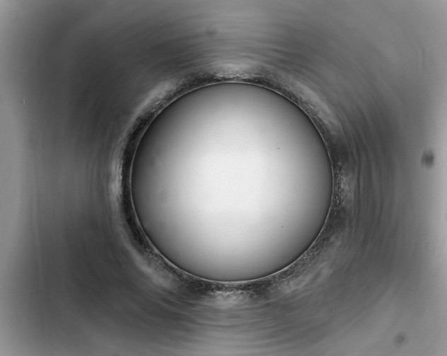 X0000102540686200808151643