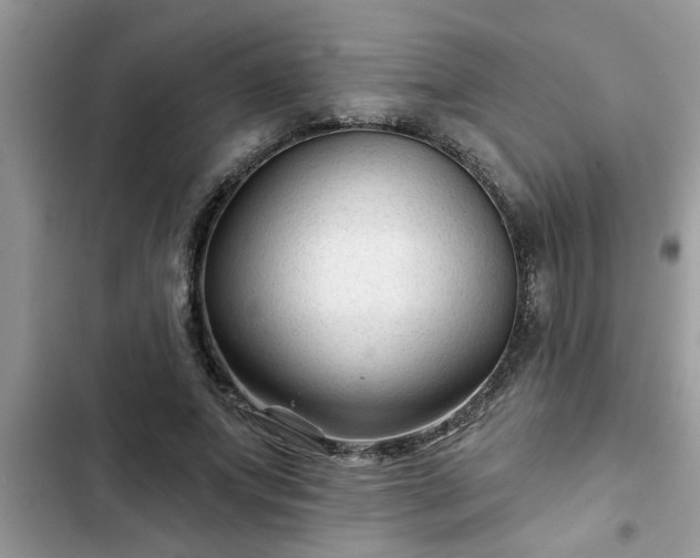 X0000102540687200808151643