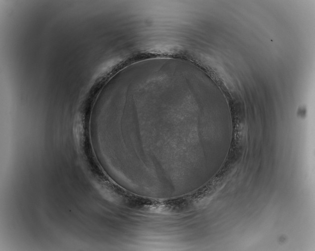 X0000102540688200808151643