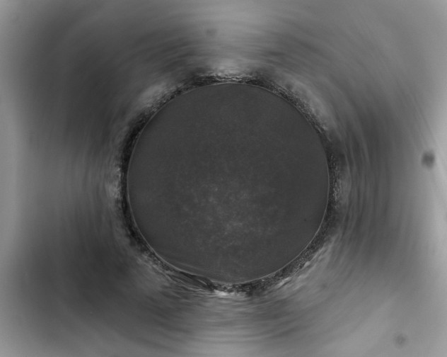 X0000102540689200808151643