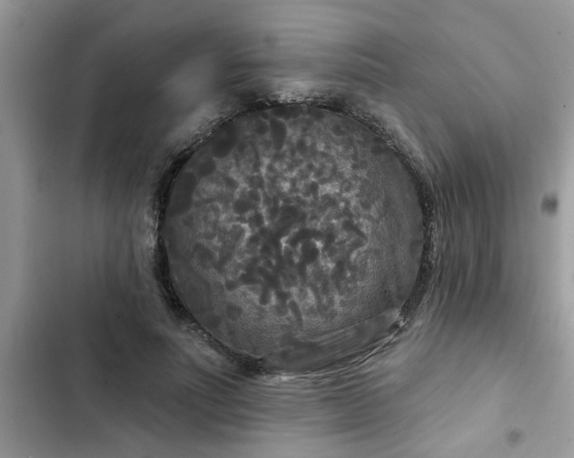X0000102540691200808151643