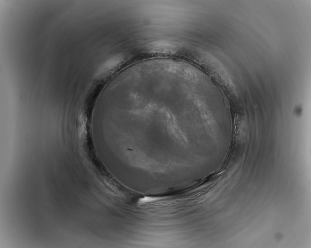 X0000102540692200808151643