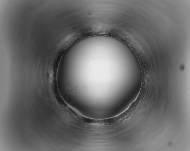 X0000102540693200808151643