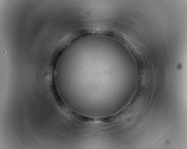 X0000102540695200808151643