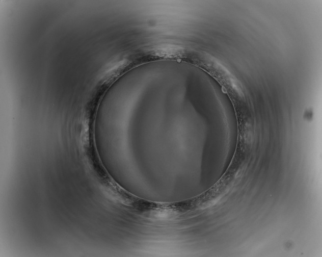 X0000102540696200808151643