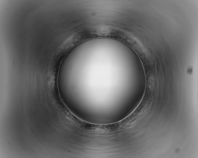 X0000102540697200808151643