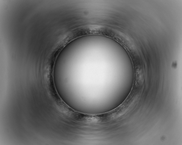 X0000102540698200808151643