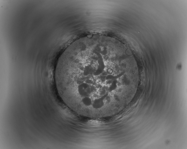 X0000102540699200808151643