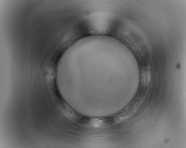 X0000102540701200808151643
