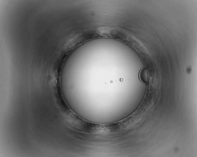 X0000102540702200808151643