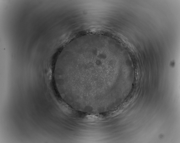 X0000102540703200808151643