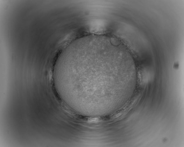 X0000102540705200808151643