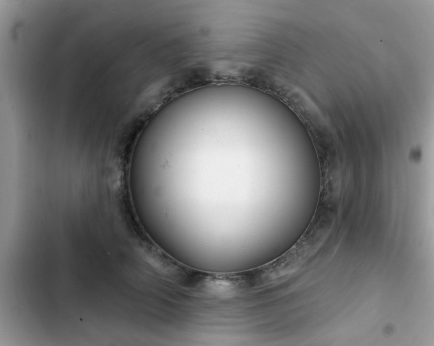 X0000102540706200808151643