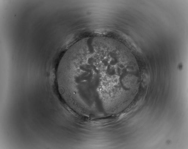 X0000102540707200808151643