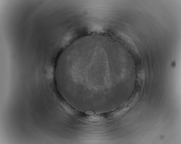 X0000102540708200808151643