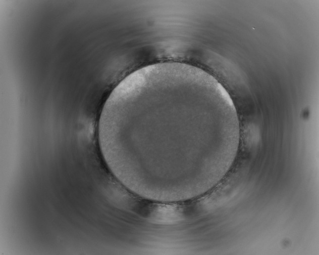 X0000102540709200808151643