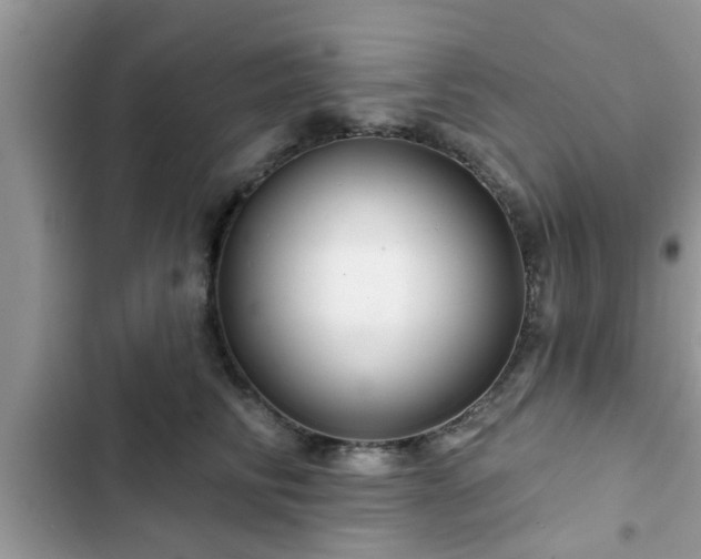 X0000102540710200808151643